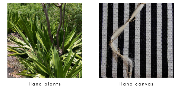 Hana plant and mat grande