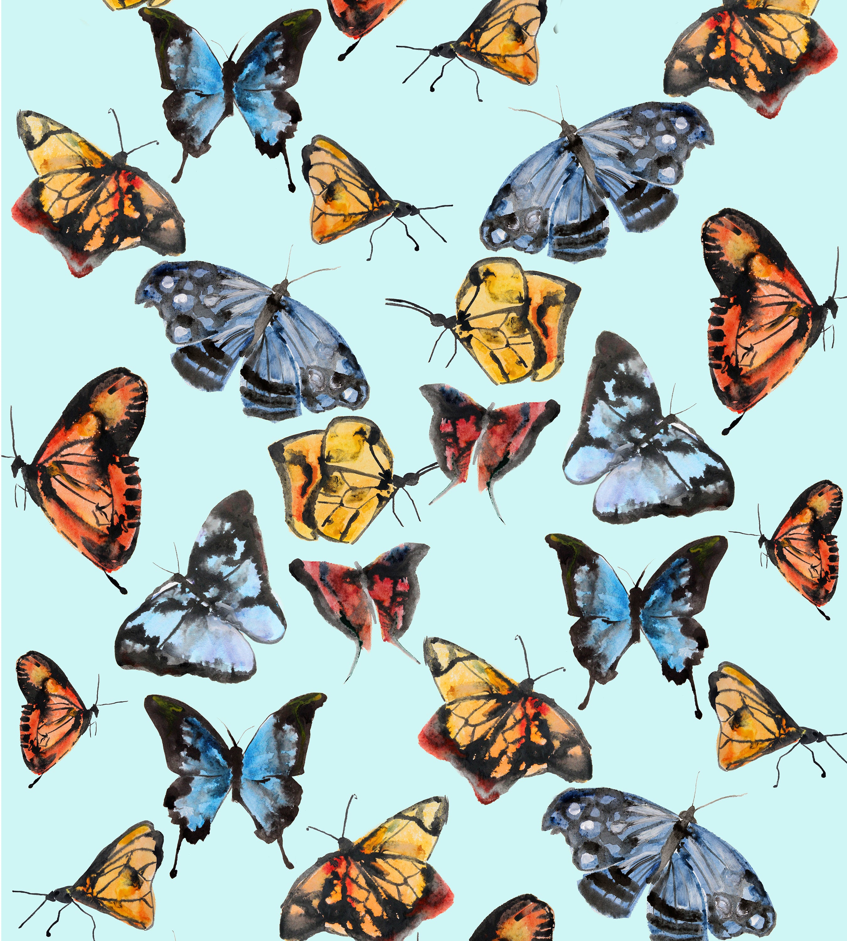 Featured image of post Wallpaer Butterfly / Find butterfly pictures and butterfly photos on desktop nexus.