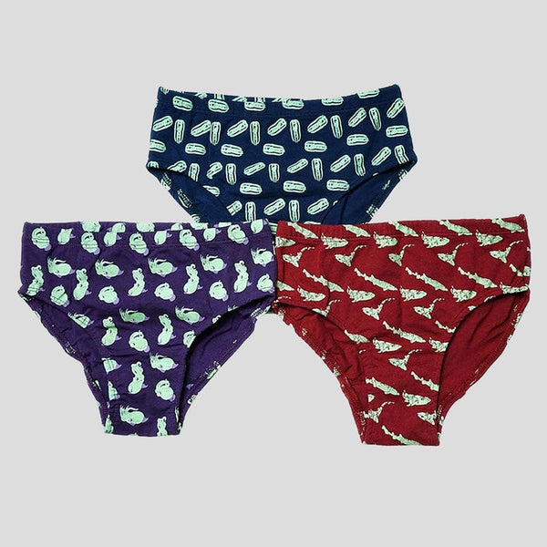 Stretch Garments Dinosaur Fossils Adults Underwear [FINAL SALE] Underwear &  Swimwear Gift for Hoilday Day Svaha Apparel Sales Store