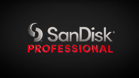 SanDisk Professional G-RAID Shuttle 4 baies de 72TB - Stockage