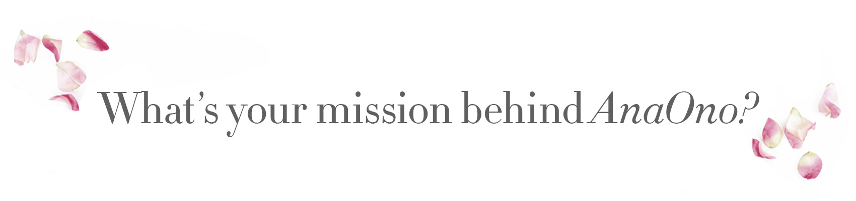 Typed text "What's your mission behind AnaOno?"