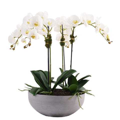 Small Traditional White Artificial Orchid Arrangement (Gray Sandstone Pot)