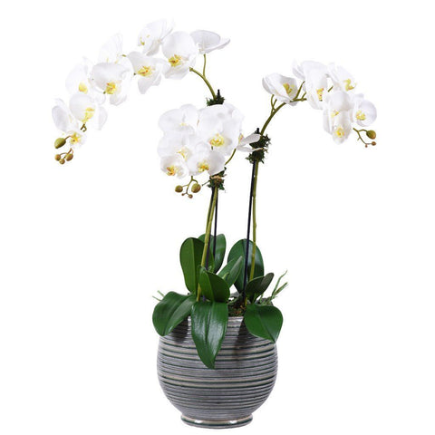 Extra Large White Artificial Orchid Arrangement (Gray Ceramic Pot)