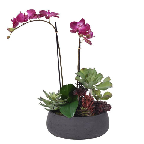 Medium Modern Purple Artificial Orchid & Artificial Succulent Arrangement (Black Concrete Pot)