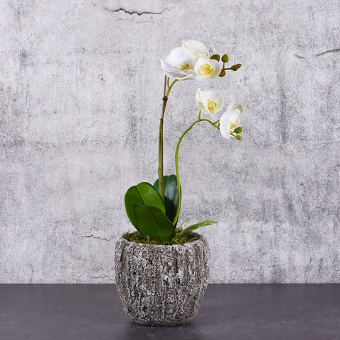 Mini White Artificial Orchid Arrangement (Natural Looking Pot)