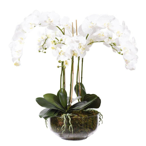 Artificial White Orchid in a clear glass frame