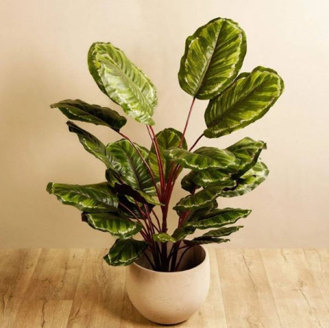 calathea-artificial-plant