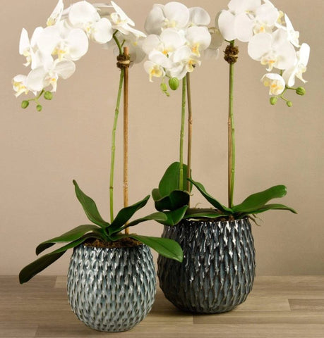 artificial-orchid-arrangements