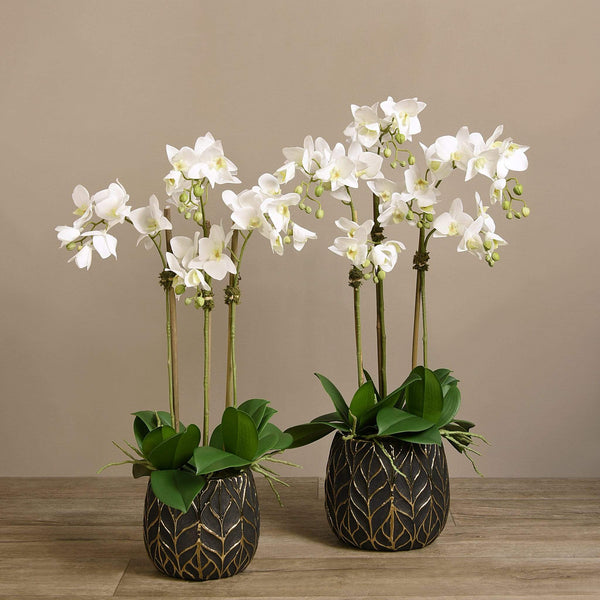 Luxury Artificial Orchid Arrangements | Bloomr