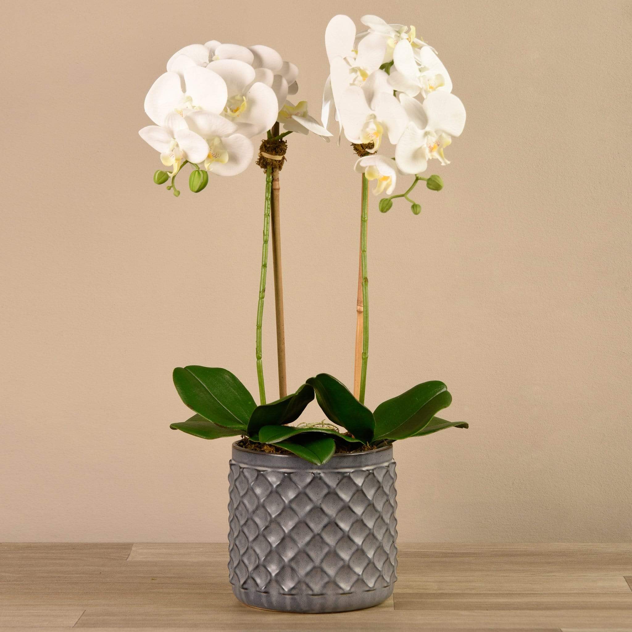 Orchid fake clearance plant