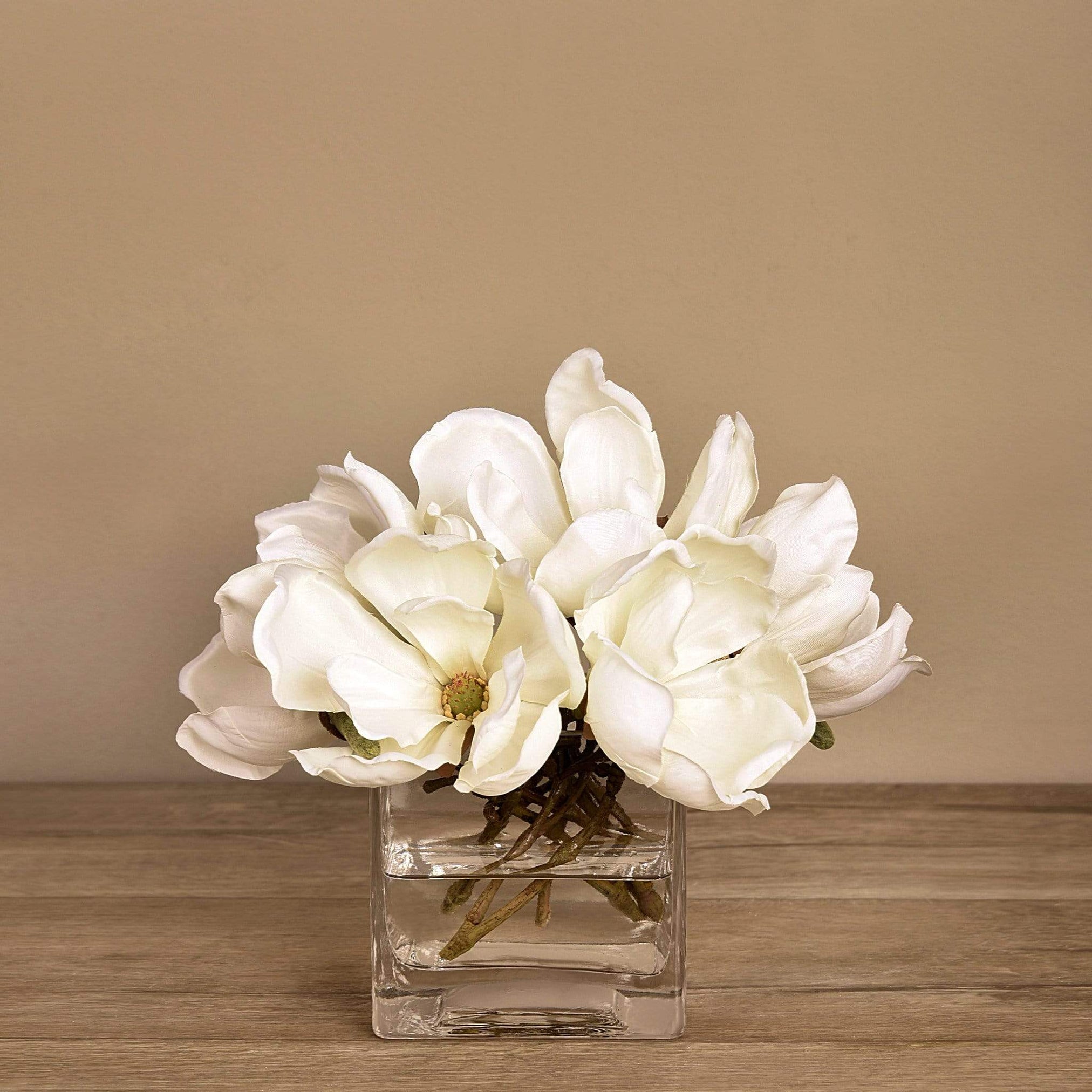 Artificial Magnolia in Glass Vase | Bloomr