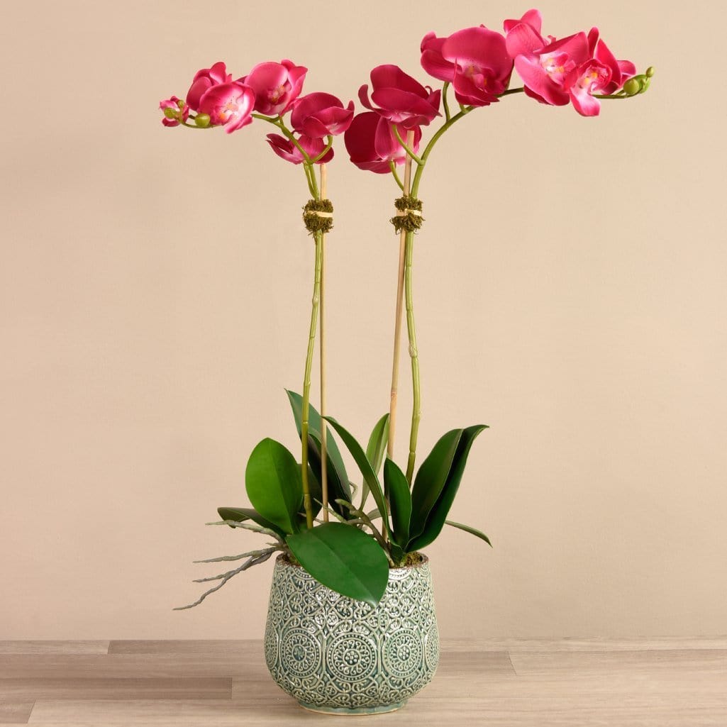 buy artificial orchids