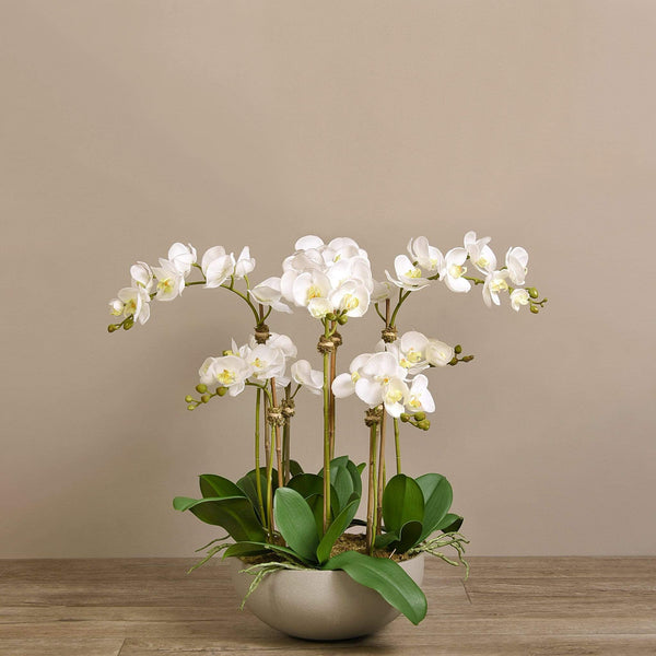 Sleek Artificial Orchid Arrangement | Bloomr
