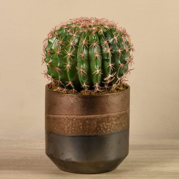 Artificial Potted Round Cactus | Bloomr