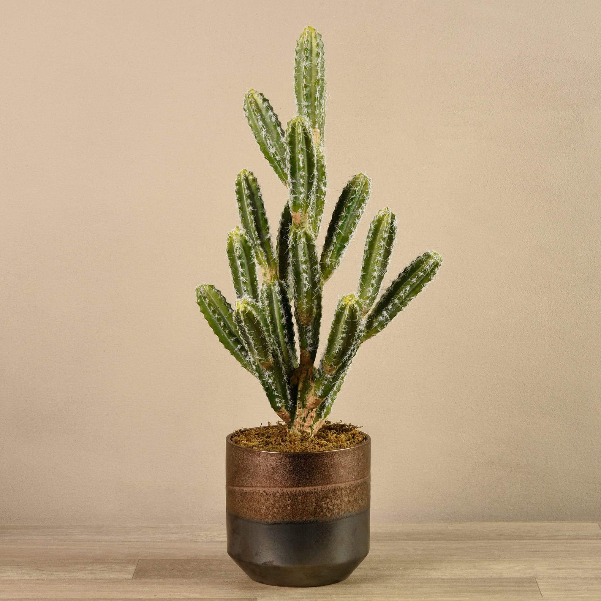 Artificial Potted Cactus Bloomr