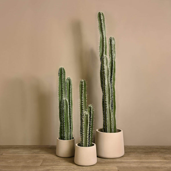 Artificial Cactus Plant 85cm|105cm|155cm | Bloomr