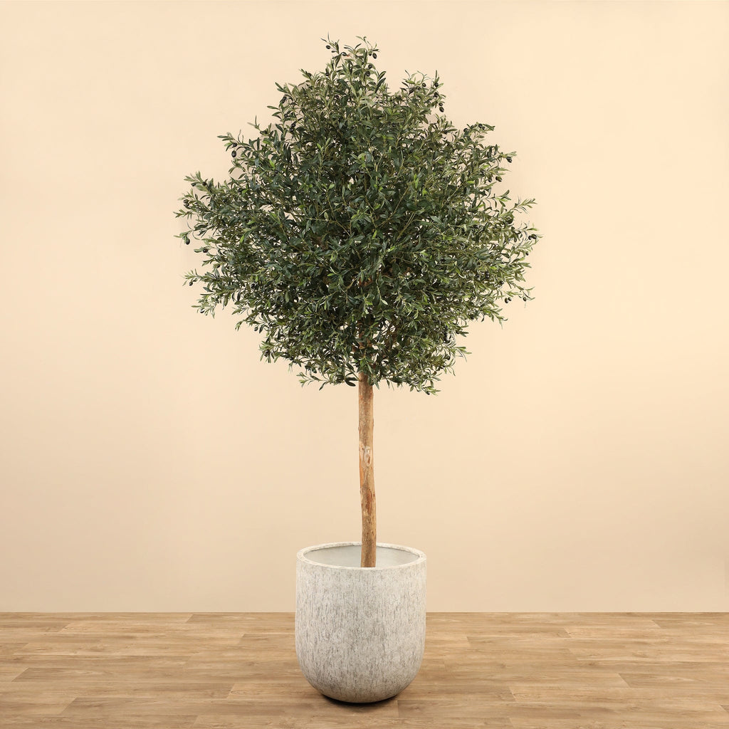 Artificial Olive Tree <br>300cm - Bloomr