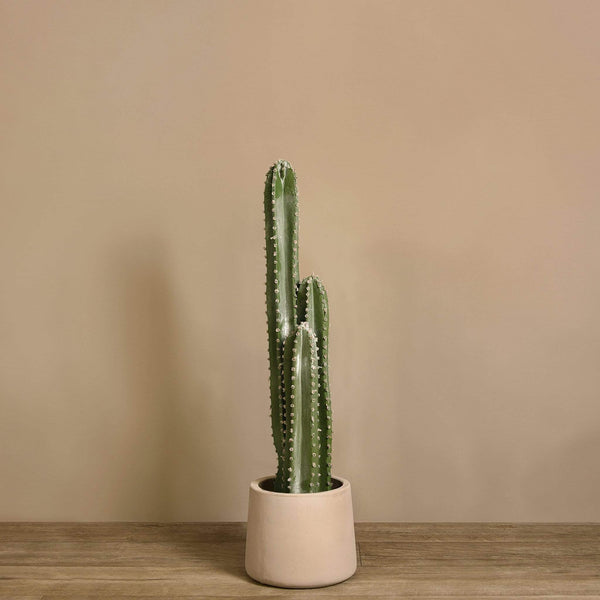Artificial Cactus Plant | Bloomr
