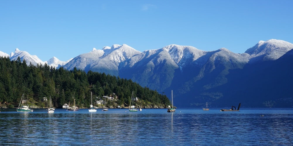 Sunny ocean scene with snow covered mountains and blue sky in the background