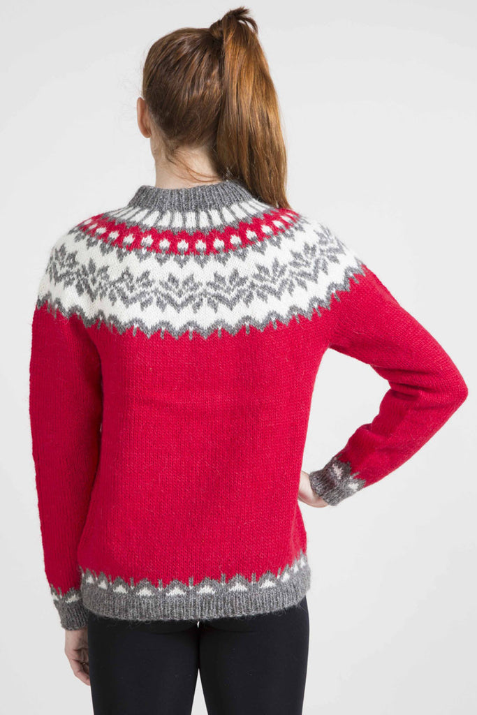 Unisex Winter Sweater with 