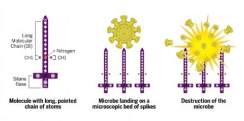 antimicrobial shield