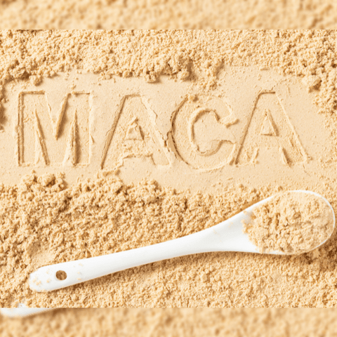 Maca Powder