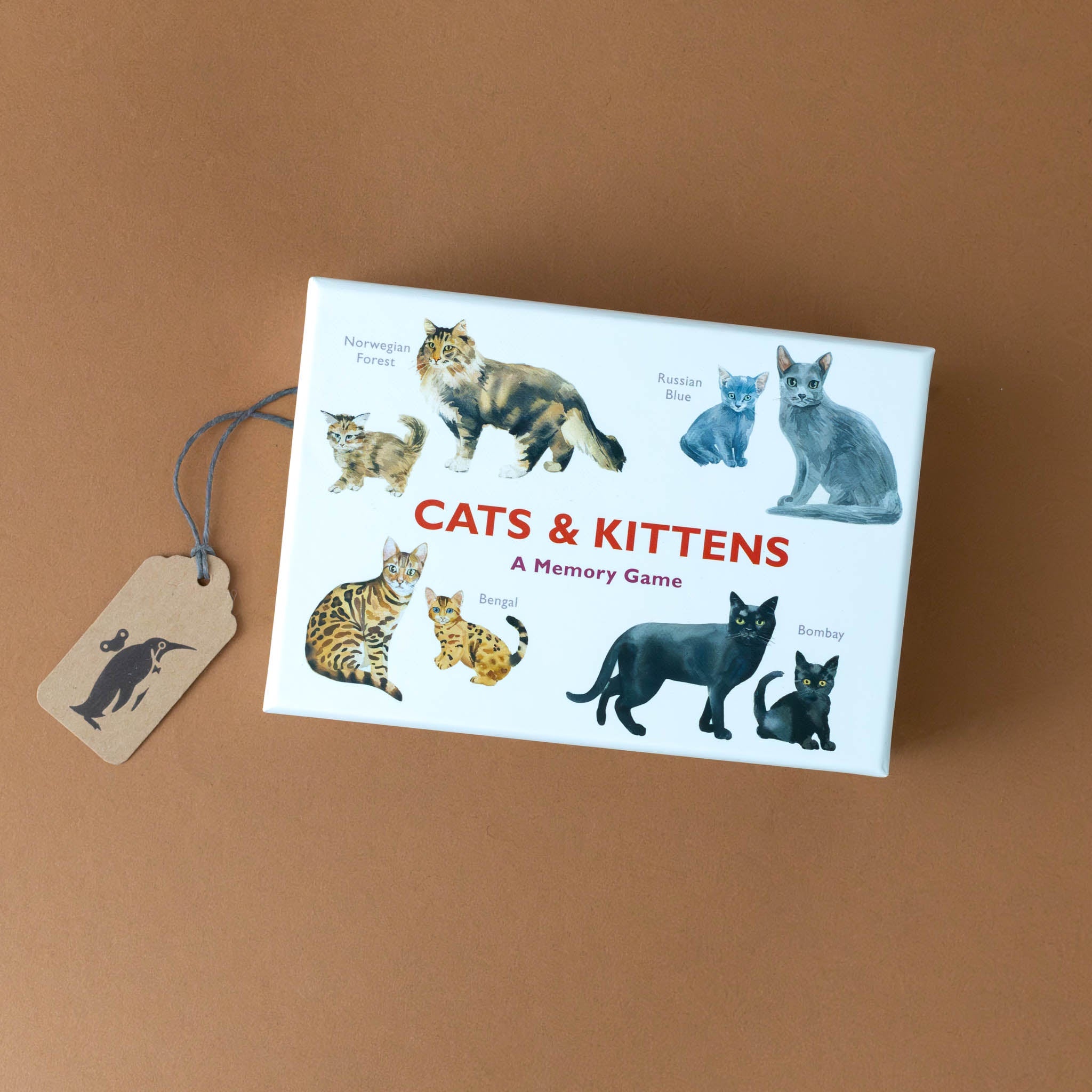 Cats & Kittens Memory Game