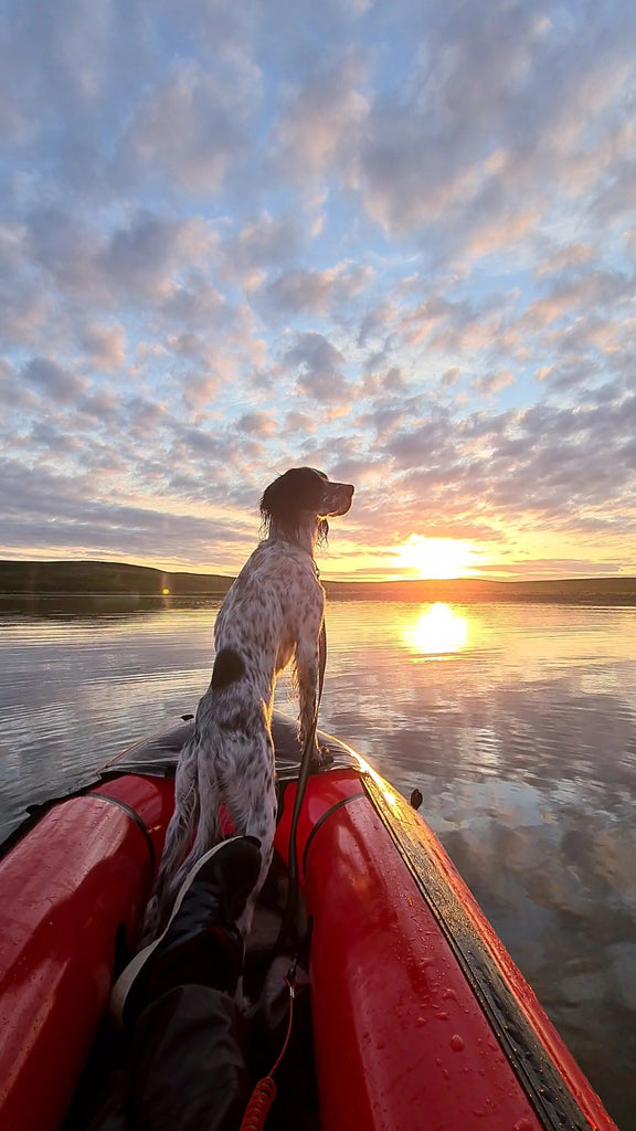 Packraft på Finnmarksvidda