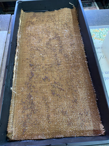 Tray with seeds