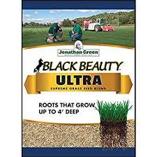 Black Beauty® Ultra Grass Seed