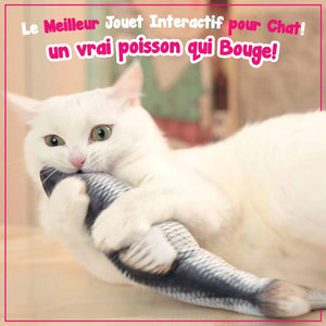 Funtoy Le Poisson Dansant Jouet Interactif Pour Chat Gadgets D Eve