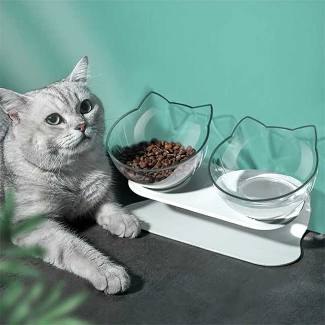 Safeed Bol Orthopedique Anti Vomissements Pour Chats Gadgets D Eve