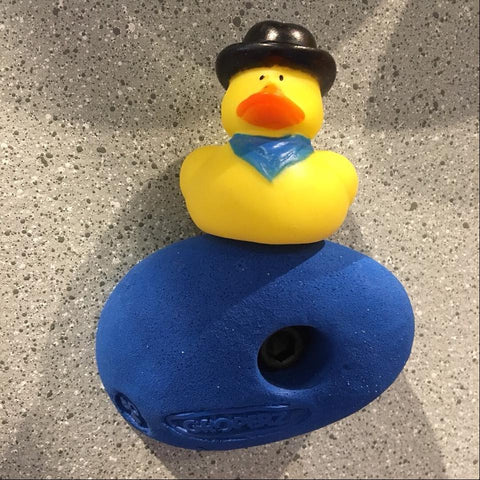 Rubber duck on a climbing hold to be used in a game