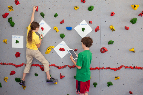 Discovery Plates on a Traverse Wall by Everlast Climbing