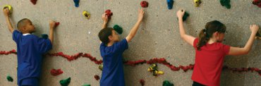 Welcome to the Wall - Climbing Wall Activity