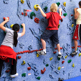 Magna Relief-Feature Climbing Wall
