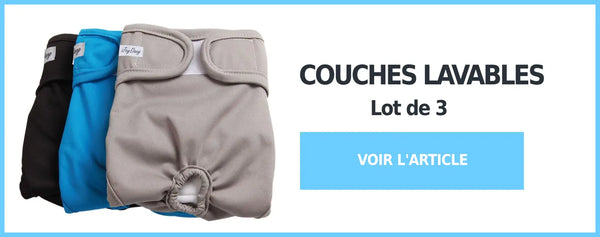 couches pur chien