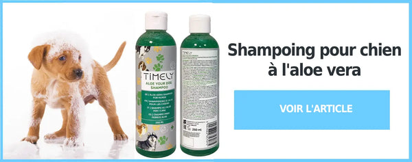 Shampoing chien aloe vera