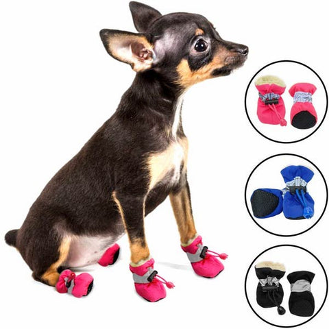 chaussons froid pluie chien