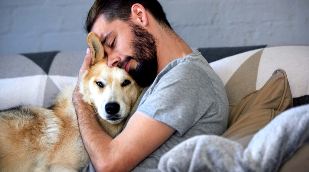 renforcer les liens avec son chien