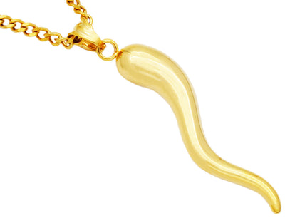 Italian Horn Pendant, 18x8 mm 14k Yellow Gold Cornicello Necklace, High  Polished, Good Luck Charm with Gift Box, Gold, No Gemstone : Amazon.ca:  Clothing, Shoes & Accessories