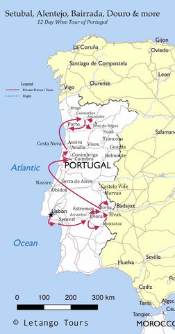 Letango tours Portugal Wine Tour
