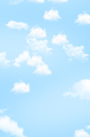 Life Magic Box Wrinkle Free Washable Cloud Backdrop Cloud Background S Amybackdrops