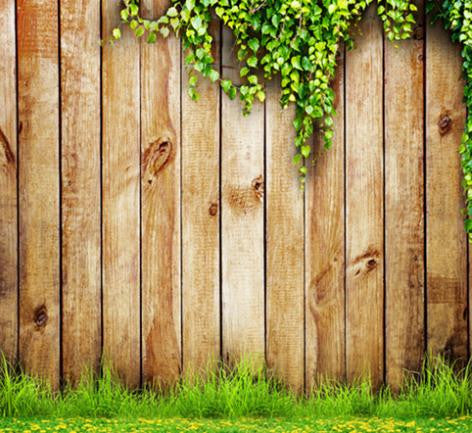 Photo Backdrop 7ft X 10ft Wedding Gualv Vine Grass Wall Wooden Wall Ba Amybackdrops