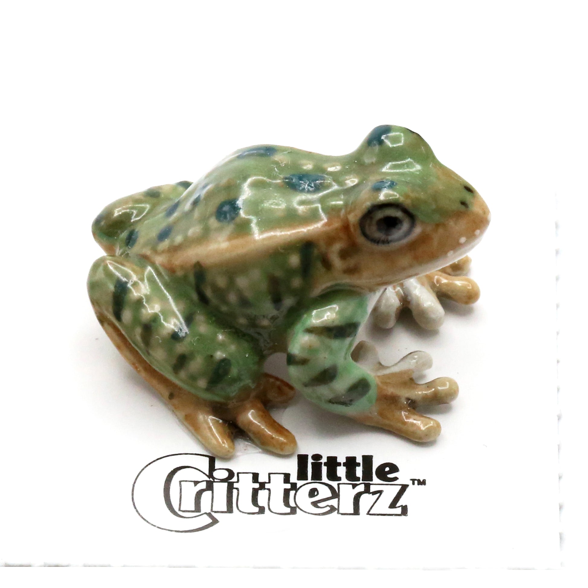 Porcelain Red-Eyed Tree Frog - Handcrafted Miniatures - Little Critterz