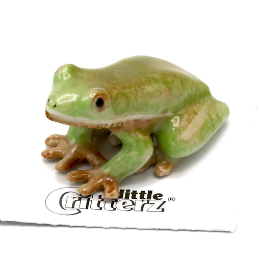 Tiny Tree Frog Figurine Soft Plastic Animal for Fairy Garden, Diorama, or  Terrarium Realistic Miniature Red Eyed Treefrog Mini Toy 