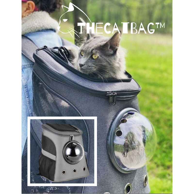 thecatbag