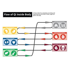 Flow of Qi Inside Body | Soho Acupuncture Center NYC