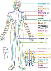 Meridian Channels | Soho Acupuncture Center NYC