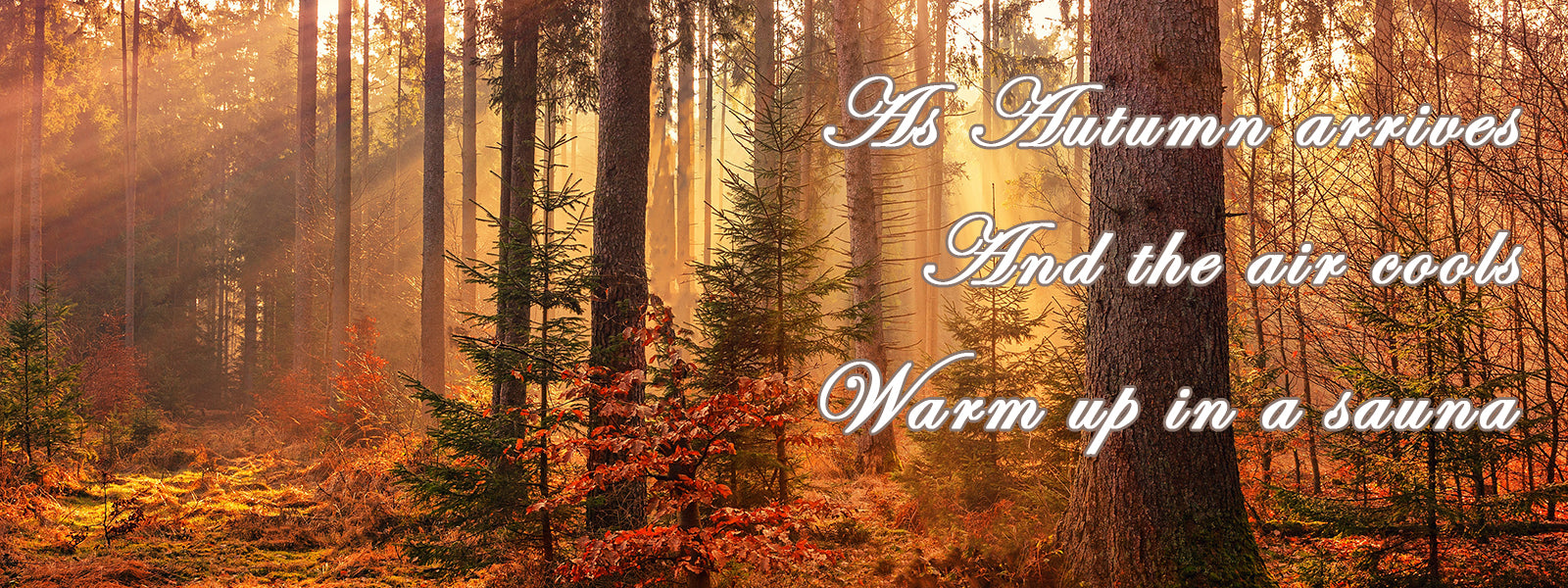 Autumn forest with text